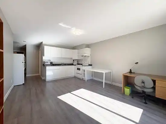 Basement-7210 FRANCES STREET, Burnaby BC V5A 1H1