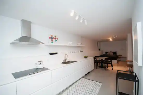 2 563 UNION STREET, Vancouver BC V6A 2B7