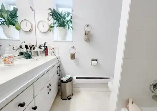 Basement 384 BLUE MOUNTAIN STREET, Coquitlam BC V3K 4J8