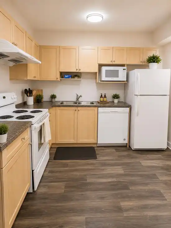 Basement 3387 DARWIN AVE, Coquitlam BC V3B 0C9