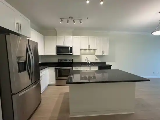 203 11580 223 ST, Maple Ridge BC V2X 9H1