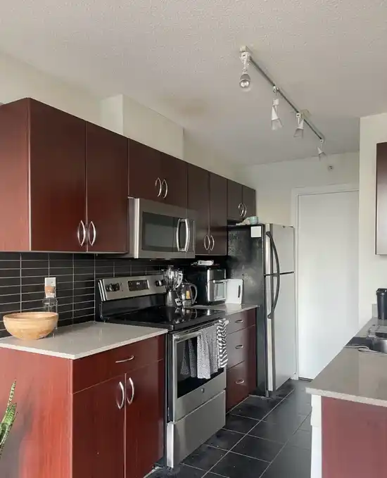 1229 933 HORNBY STREET, Vancouver BC V6Z 3G4