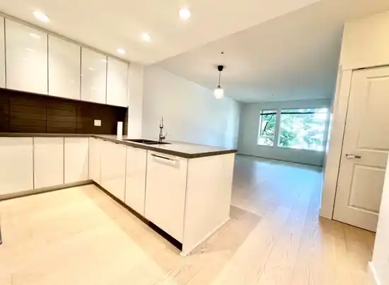 319 255 W 1ST STREET, North Vancouver BC V7M 3G8