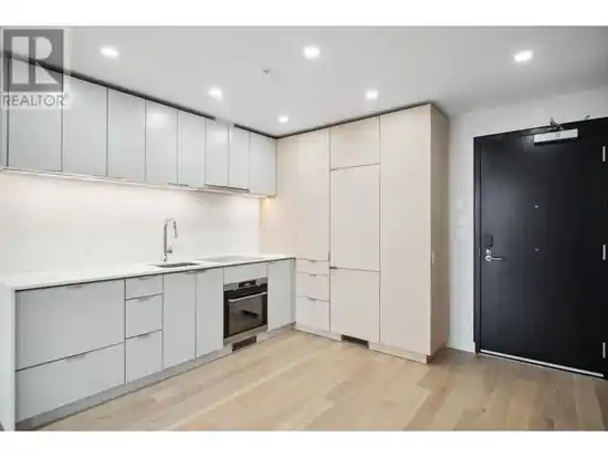 502 239 KEEFER STREET, Vancouver BC V6A 1X6