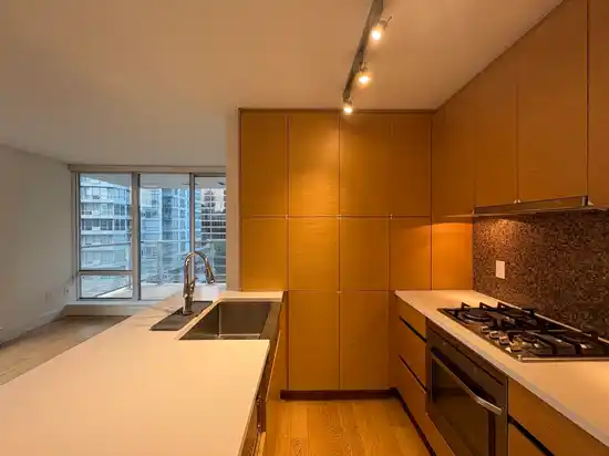 1205 565 SMITHE STREET, Vancouver BC V6B 0E4