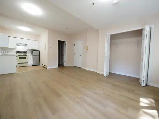 345 W 15TH AVENUE, Vancouver BC V5Y 1Y3