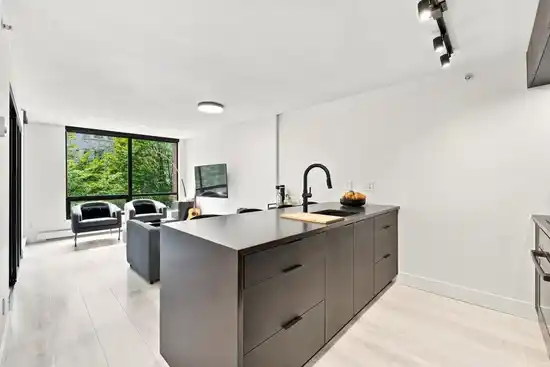 212 1082 SEYMOUR STREET, Vancouver BC V6B 1X9
