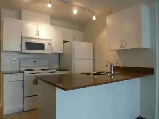 1233 933 HORNBY STREET, Vancouver BC V6Z 3G4